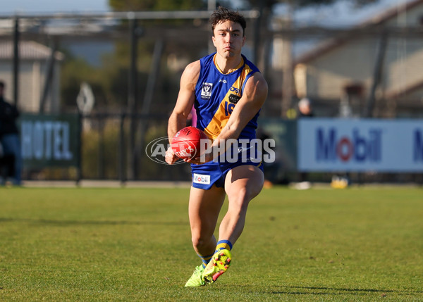 VFL 2025 Round 14 - Williamstown v Sandringham - A-60269523