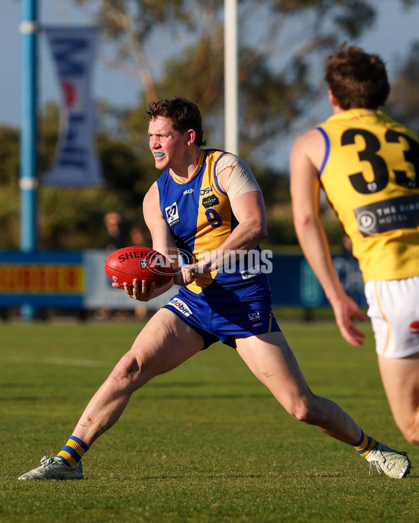 VFL 2025 Round 14 - Williamstown v Sandringham - A-60269526