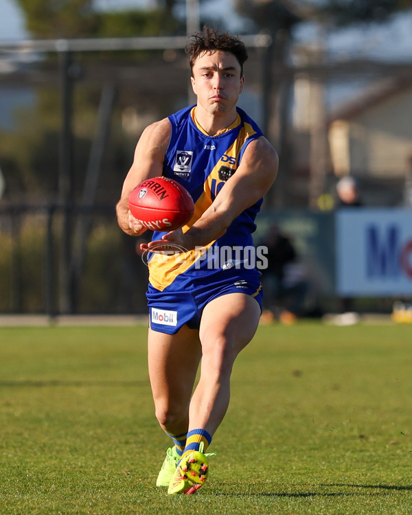 VFL 2025 Round 14 - Williamstown v Sandringham - A-60269527