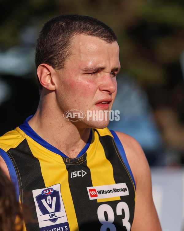 VFL 2025 Round 14 - Williamstown v Sandringham - A-60270044