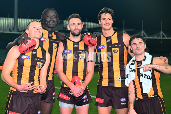 AFL 2025 Round 16 - Hawthorn v North Melbourne - A-60270063
