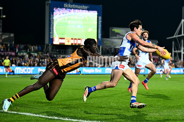 AFL 2025 Round 16 - Hawthorn v North Melbourne - A-60270076