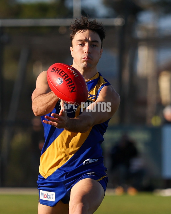 VFL 2025 Round 14 - Williamstown v Sandringham - A-60270093