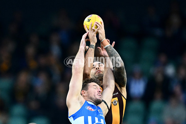 AFL 2025 Round 16 - Hawthorn v North Melbourne - A-60270107