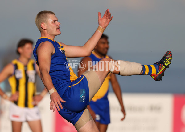 VFL 2025 Round 14 - Williamstown v Sandringham - A-60272270