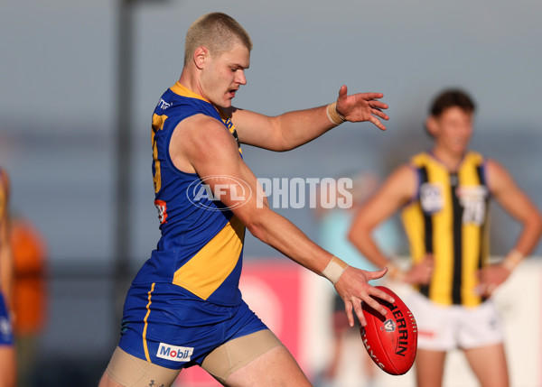 VFL 2025 Round 14 - Williamstown v Sandringham - A-60272271