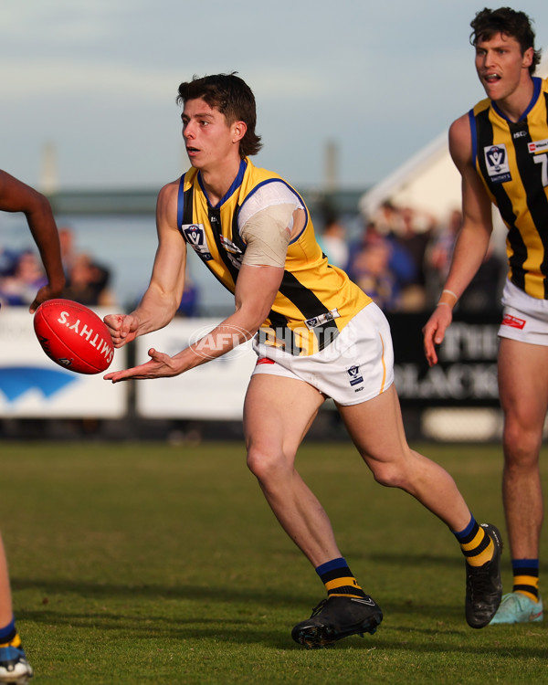 VFL 2025 Round 14 - Williamstown v Sandringham - A-60273074