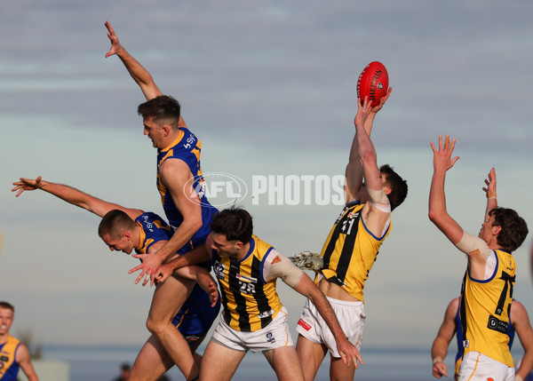 VFL 2025 Round 14 - Williamstown v Sandringham - A-60273076