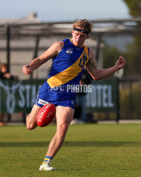 VFL 2025 Round 14 - Williamstown v Sandringham - A-60273077