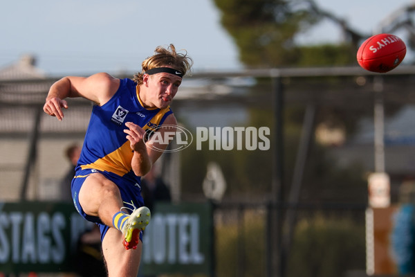 VFL 2025 Round 14 - Williamstown v Sandringham - A-60273078
