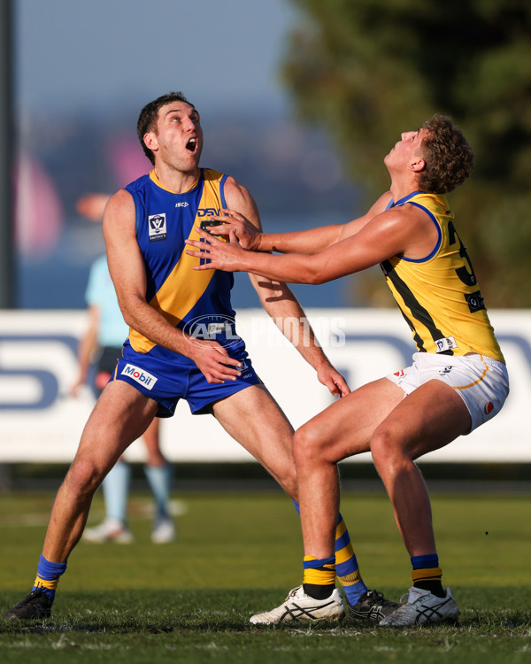 VFL 2025 Round 14 - Williamstown v Sandringham - A-60273081