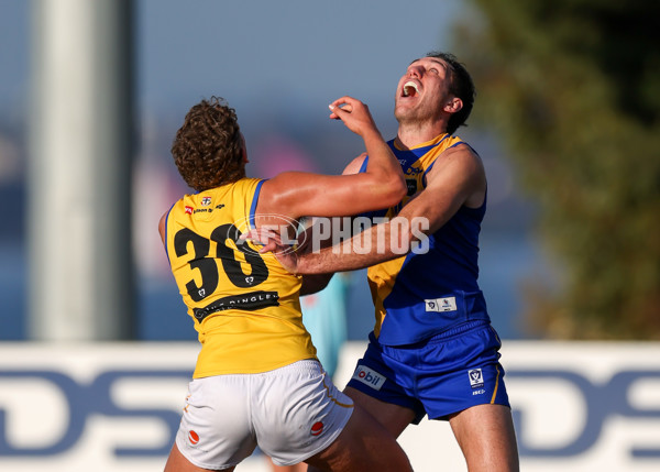 VFL 2025 Round 14 - Williamstown v Sandringham - A-60273083