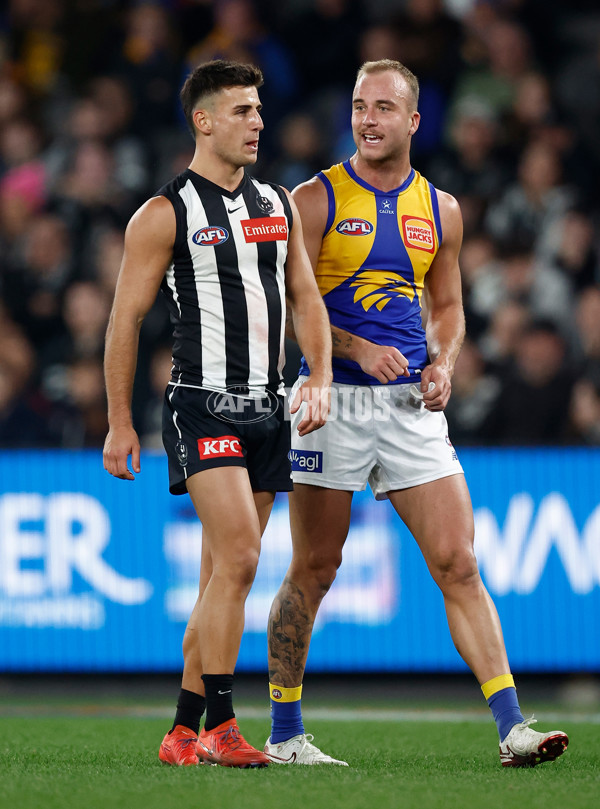 AFL 2025 Round 16 - Collingwood v West Coast - A-60273119