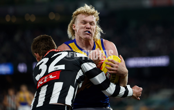 AFL 2025 Round 16 - Collingwood v West Coast - A-60273137