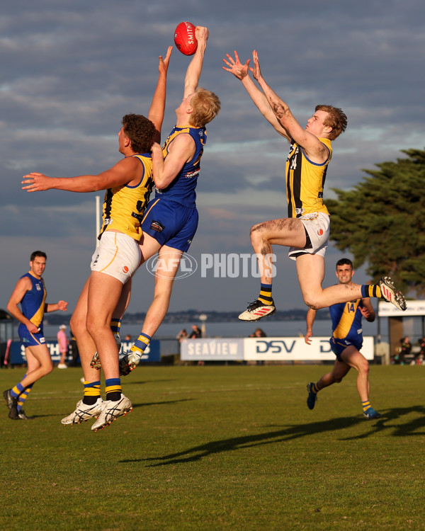 VFL 2025 Round 14 - Williamstown v Sandringham - A-60273161
