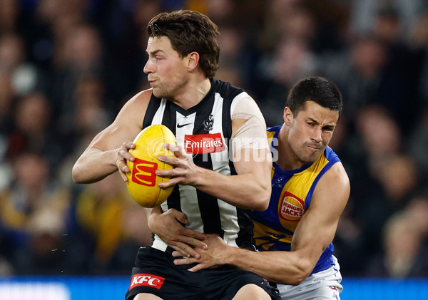 AFL 2025 Round 16 - Collingwood v West Coast - A-60274583