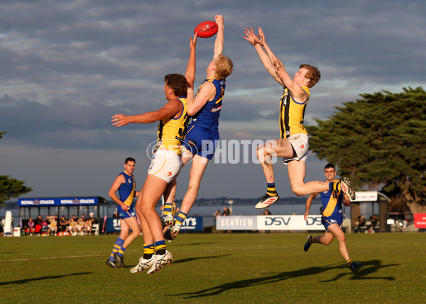VFL 2025 Round 14 - Williamstown v Sandringham - A-60274601