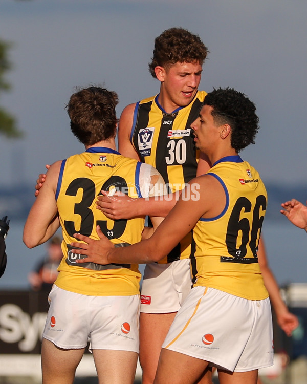 VFL 2025 Round 14 - Williamstown v Sandringham - A-60274603
