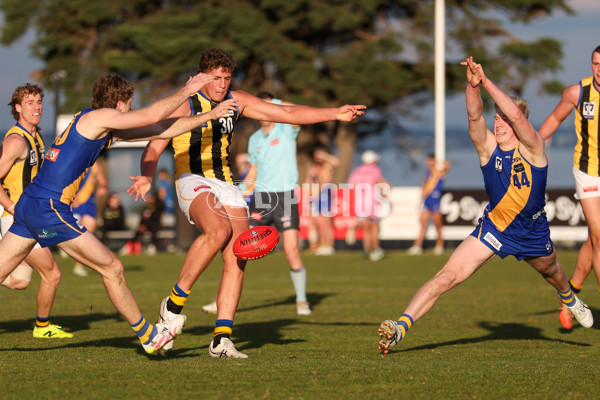 VFL 2025 Round 14 - Williamstown v Sandringham - A-60274608