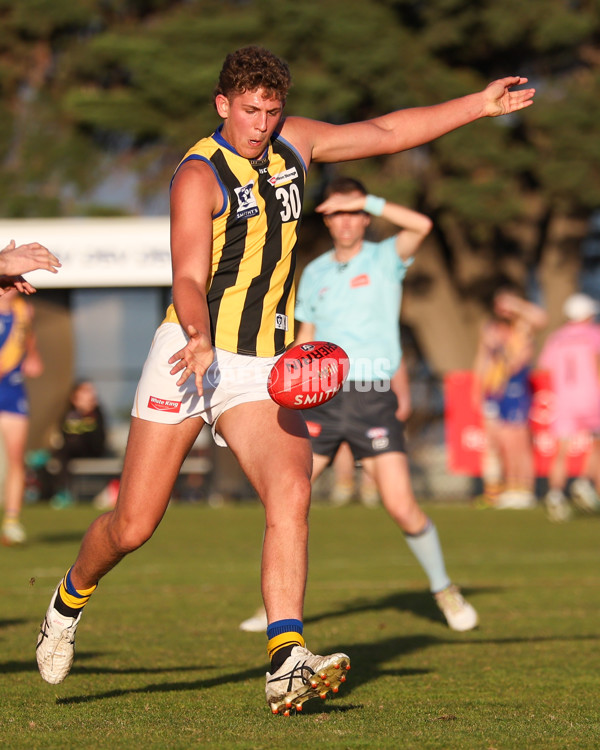 VFL 2025 Round 14 - Williamstown v Sandringham - A-60274610