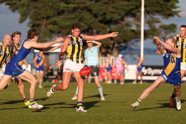 VFL 2025 Round 14 - Williamstown v Sandringham - A-60274611