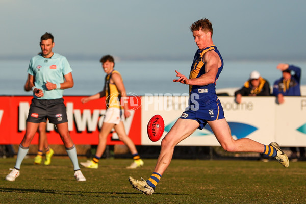 VFL 2025 Round 14 - Williamstown v Sandringham - A-60274612