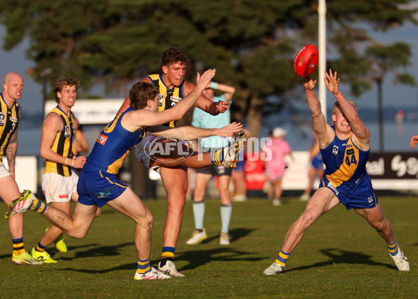 VFL 2025 Round 14 - Williamstown v Sandringham - A-60274618