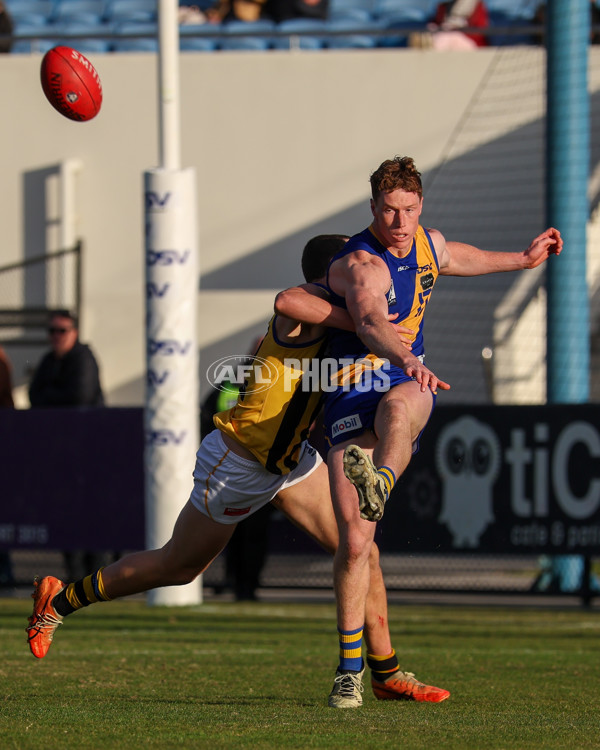 VFL 2025 Round 14 - Williamstown v Sandringham - A-60275488