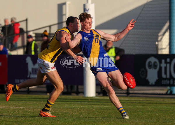 VFL 2025 Round 14 - Williamstown v Sandringham - A-60275489