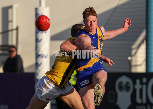 VFL 2025 Round 14 - Williamstown v Sandringham - A-60275491