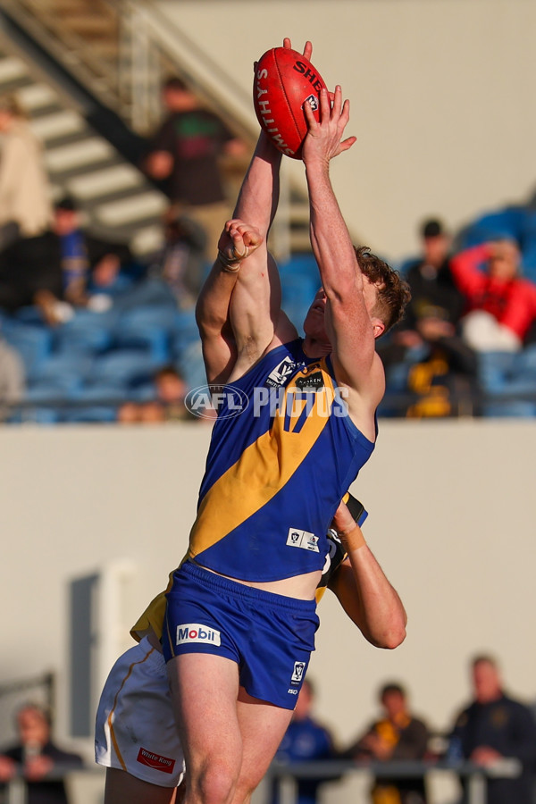 VFL 2025 Round 14 - Williamstown v Sandringham - A-60275495