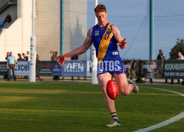 VFL 2025 Round 14 - Williamstown v Sandringham - A-60275514
