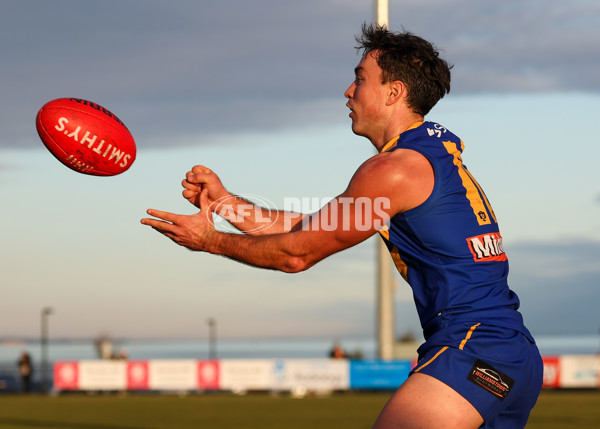 VFL 2025 Round 14 - Williamstown v Sandringham - A-60275532