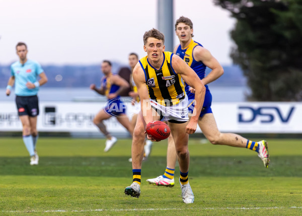 VFL 2025 Round 14 - Williamstown v Sandringham - A-60275539