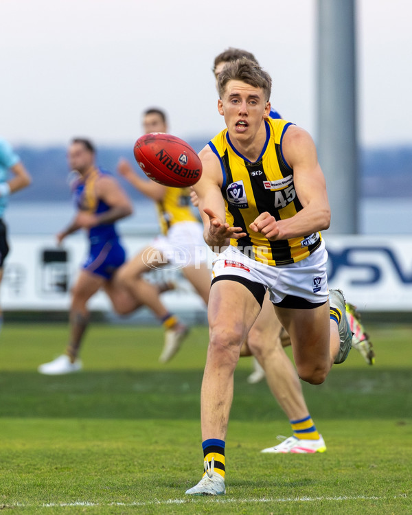 VFL 2025 Round 14 - Williamstown v Sandringham - A-60275542