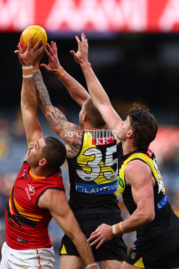 AFL 2025 Round 16 - Richmond v Adelaide - A-60277496