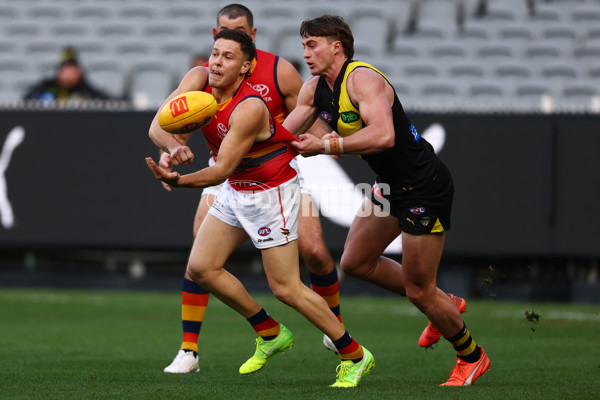 AFL 2025 Round 16 - Richmond v Adelaide - A-60278157