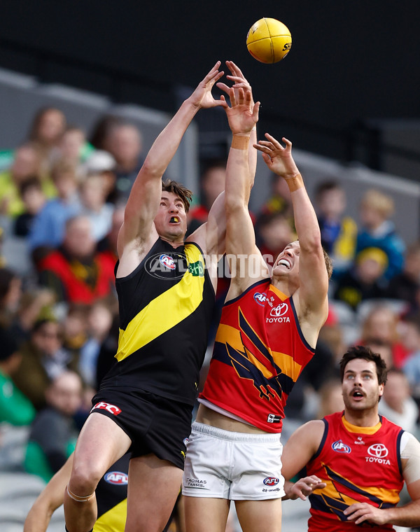 AFL 2025 Round 16 - Richmond v Adelaide - A-60278176