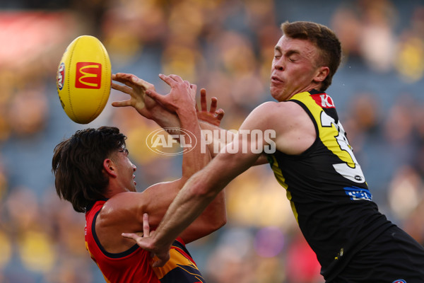 AFL 2025 Round 16 - Richmond v Adelaide - A-60278199