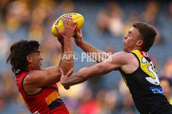 AFL 2025 Round 16 - Richmond v Adelaide - A-60278201