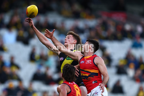 AFL 2025 Round 16 - Richmond v Adelaide - A-60280135