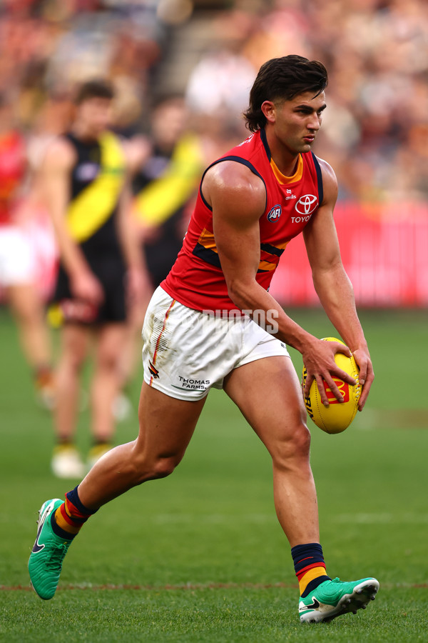 AFL 2025 Round 16 - Richmond v Adelaide - A-60280141