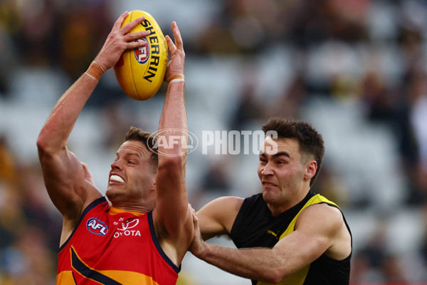 AFL 2025 Round 16 - Richmond v Adelaide - A-60280157