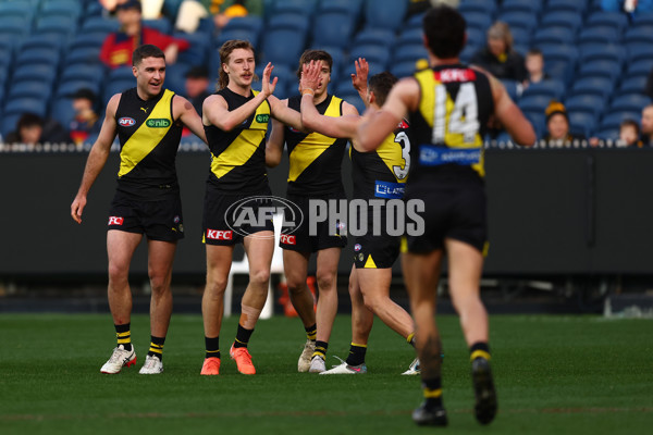 AFL 2025 Round 16 - Richmond v Adelaide - A-60280177