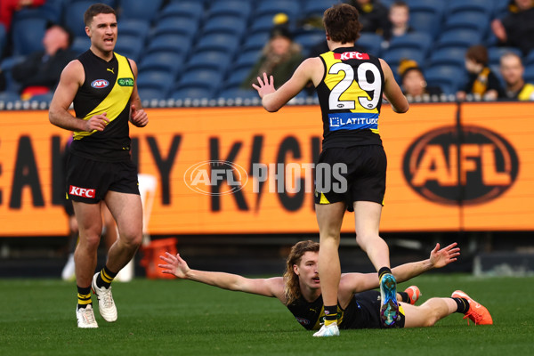 AFL 2025 Round 16 - Richmond v Adelaide - A-60280965