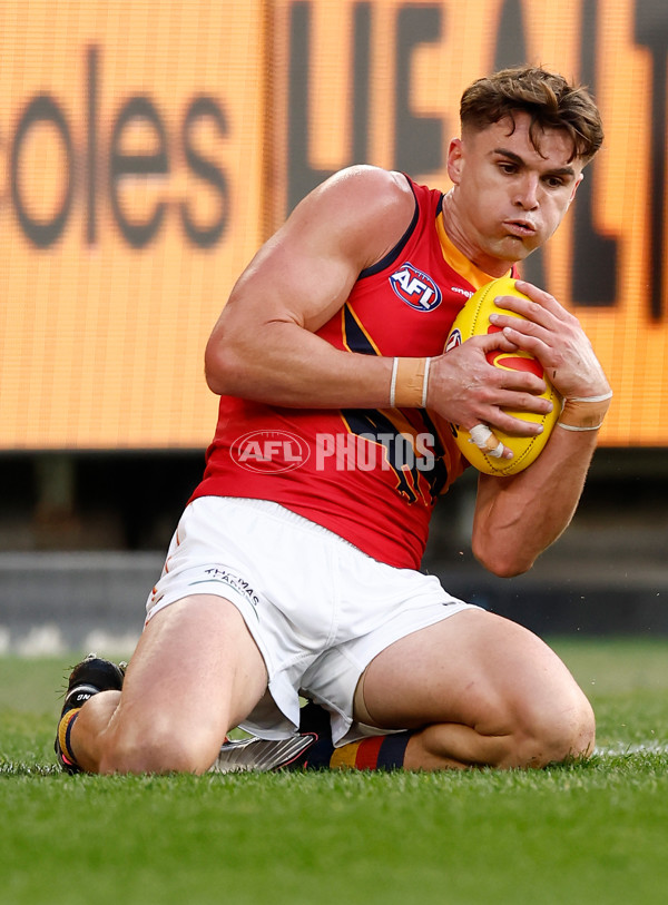 AFL 2025 Round 16 - Richmond v Adelaide - A-60280984