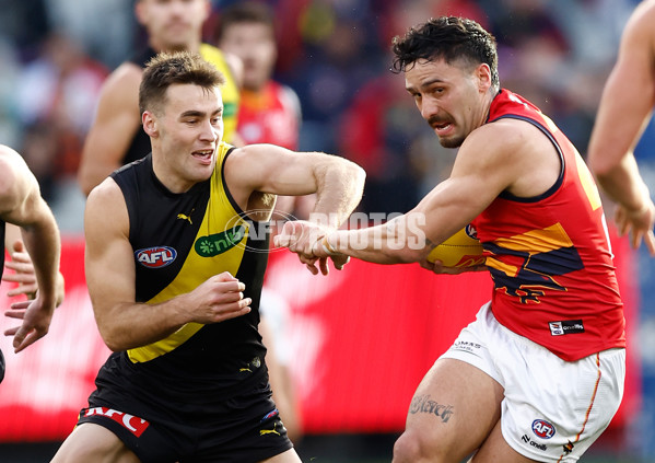 AFL 2025 Round 16 - Richmond v Adelaide - A-60280986
