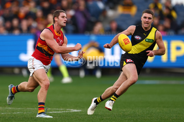 AFL 2025 Round 16 - Richmond v Adelaide - A-60282688