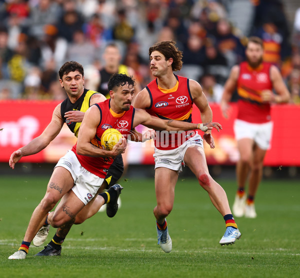 AFL 2025 Round 16 - Richmond v Adelaide - A-60282692