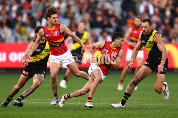 AFL 2025 Round 16 - Richmond v Adelaide - A-60282693